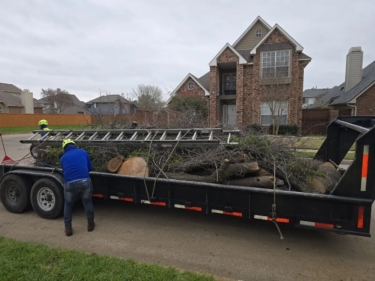 Expert Lot Clearing with proper safety equipment in Buck Creek